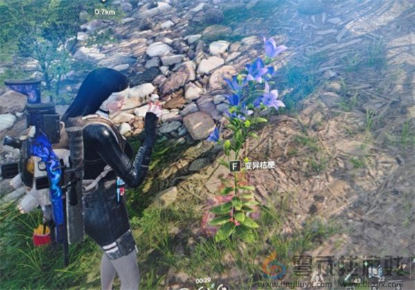 七日世界变异植物获取方法及获取位置分享(图3)