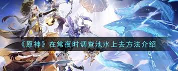 原神常夜时调查池水方法(图3) 原神常夜时调查池水方法(图3)